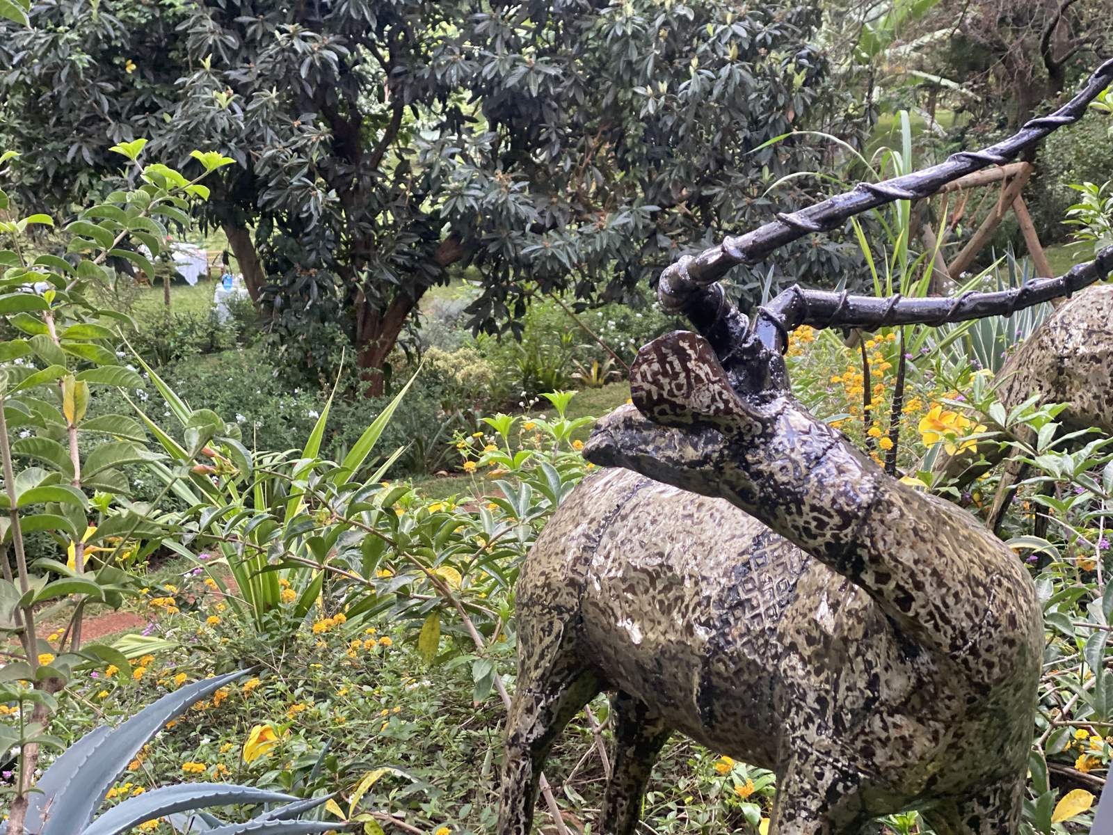 Maarifa Park - Pond Area